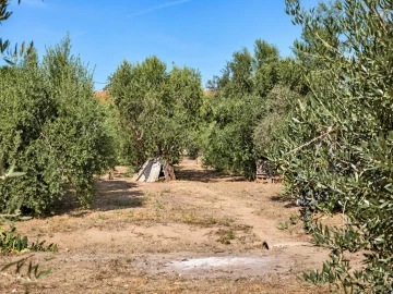 Terreno para Venda em Ermidas-Sado