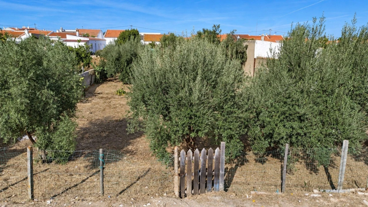 Terreno para Venda em Ermidas-Sado Foto 9