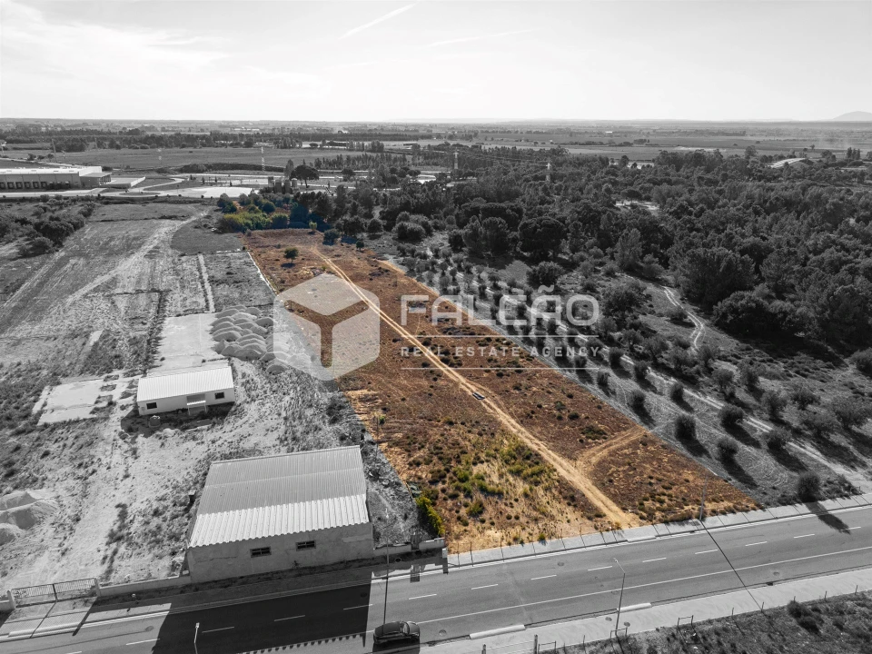 Terreno Agricola ou Rústico para Venda em Almeirim Foto 6