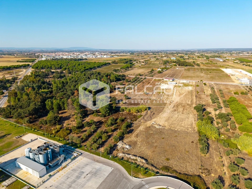 Terreno Agricola ou Rústico para Venda em Almeirim Foto 13