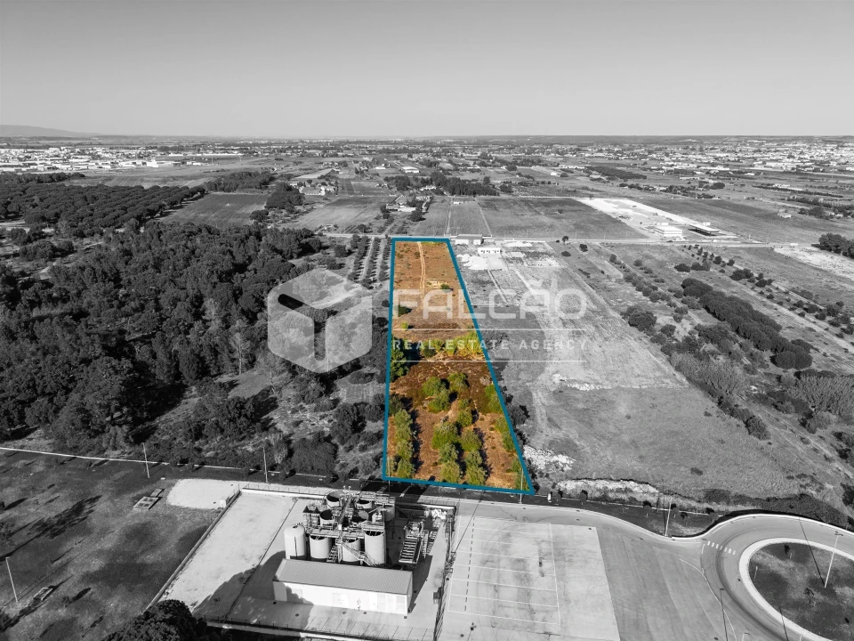 Terreno Agricola ou Rústico para Venda em Almeirim Foto 4