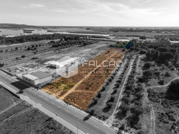 Terreno Agricola ou Rústico para Venda em Almeirim