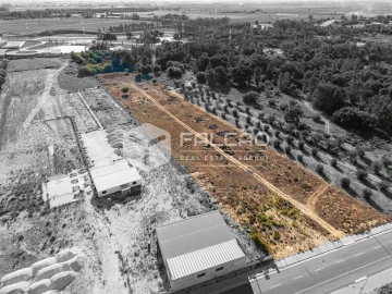 Terreno Agricola ou Rústico para Venda em Almeirim