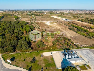 Terreno Agricola ou Rústico para Venda em Almeirim