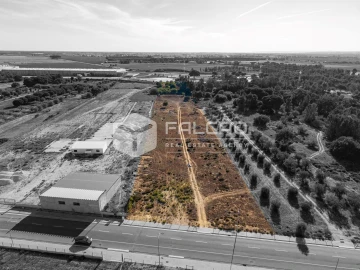 Terreno Agricola ou Rústico para Venda em Almeirim