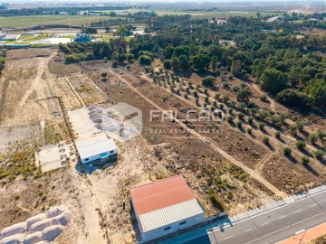 Terreno Agricola ou Rústico para Venda em Almeirim