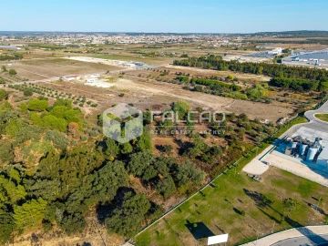 Terreno Agricola ou Rústico para Venda em Almeirim