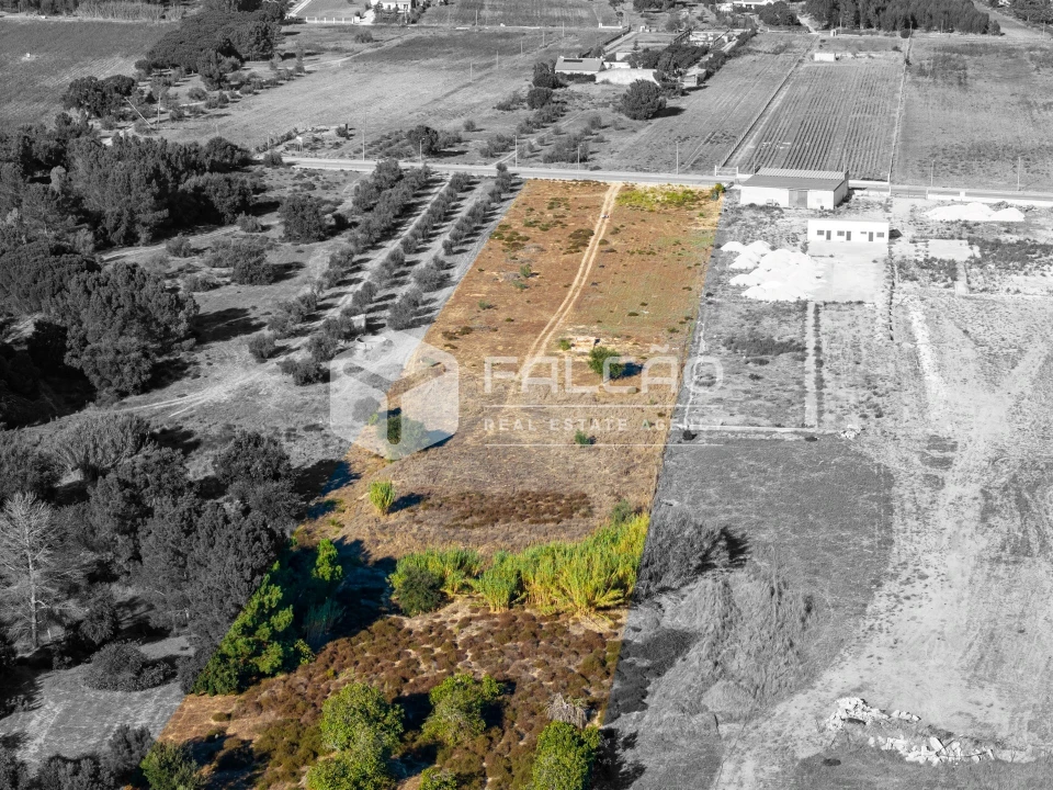 Terreno Agricola ou Rústico para Venda em Almeirim Foto 3