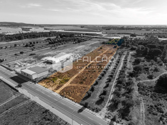 Terreno Agricola ou Rústico para Venda em Almeirim Foto 8