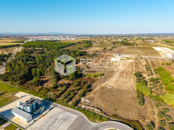 Terreno Agricola ou Rústico para Venda em Almeirim Foto 13