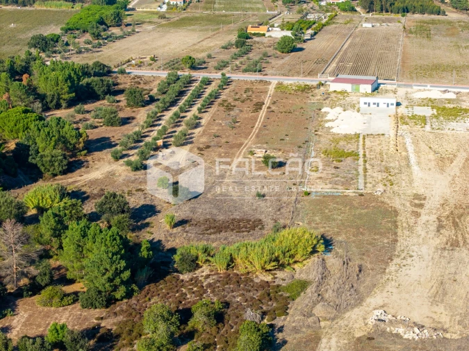 Terreno Agricola ou Rústico para Venda em Almeirim Foto 14