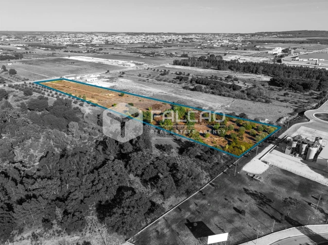Terreno Agricola ou Rústico para Venda em Almeirim Foto 9