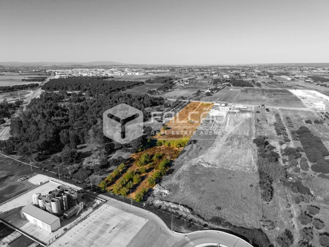 Terreno Agricola ou Rústico para Venda em Almeirim Foto 2