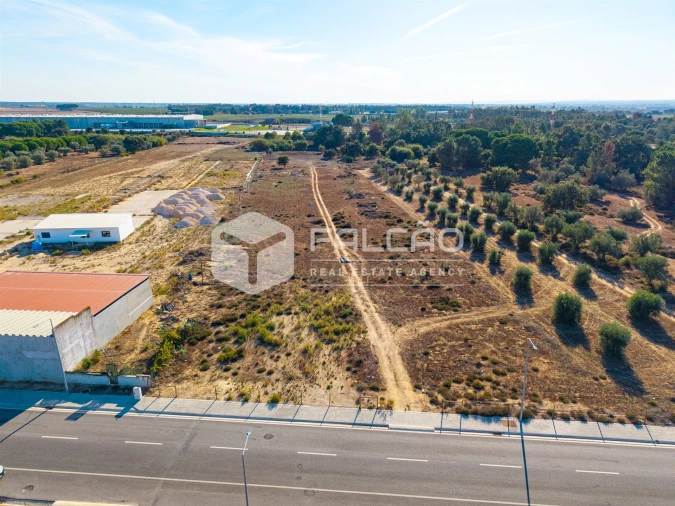 Terreno Agricola ou Rústico para Venda em Almeirim Foto 11