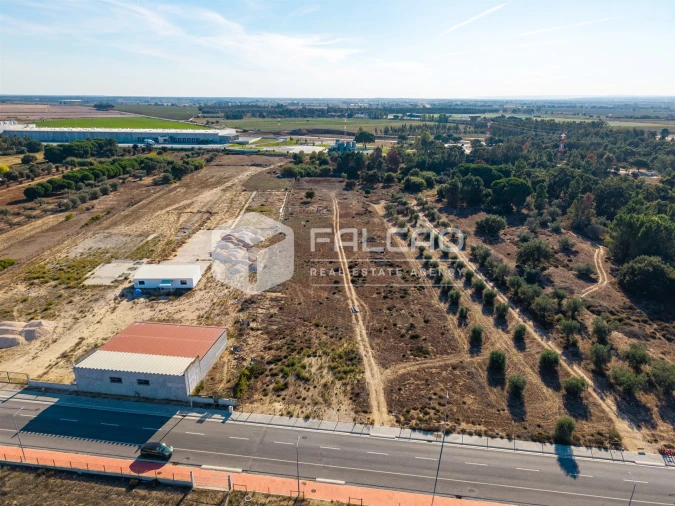 Terreno Agricola ou Rústico para Venda em Almeirim Foto 19