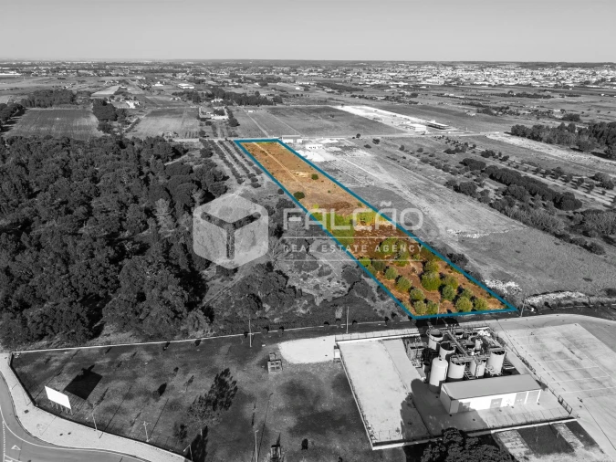 Terreno Agricola ou Rústico para Venda em Almeirim Foto 5