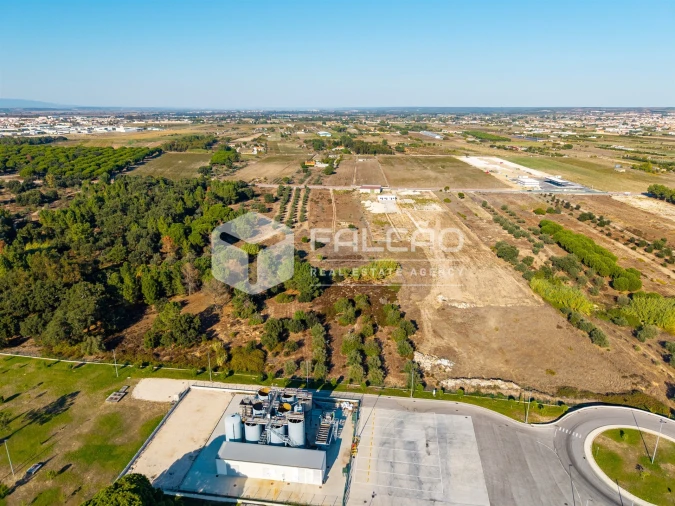 Terreno Agricola ou Rústico para Venda em Almeirim Foto 15