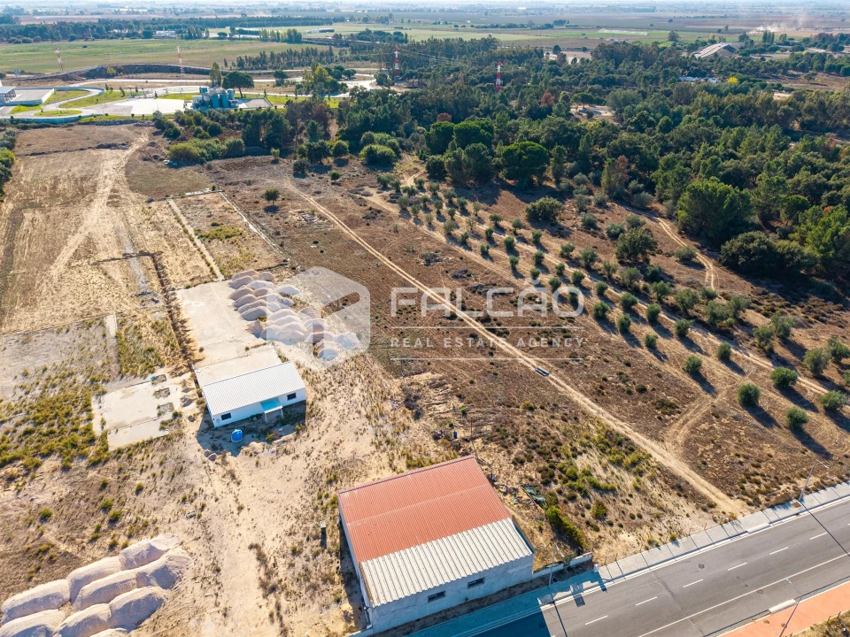 Terreno Agricola ou Rústico para Venda em Almeirim Foto 12