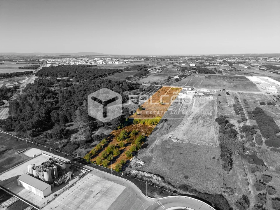Terreno Agricola ou Rústico para Venda em Almeirim Foto 2