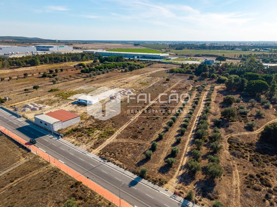 Terreno Agricola ou Rústico para Venda em Almeirim Foto 18