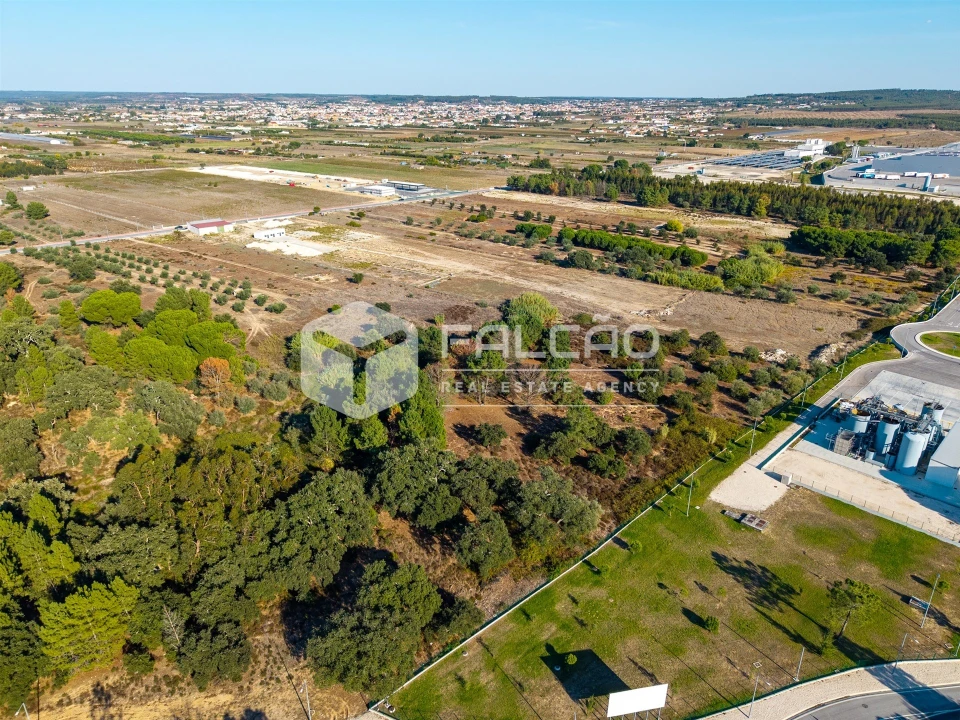 Terreno Agricola ou Rústico para Venda em Almeirim Foto 17