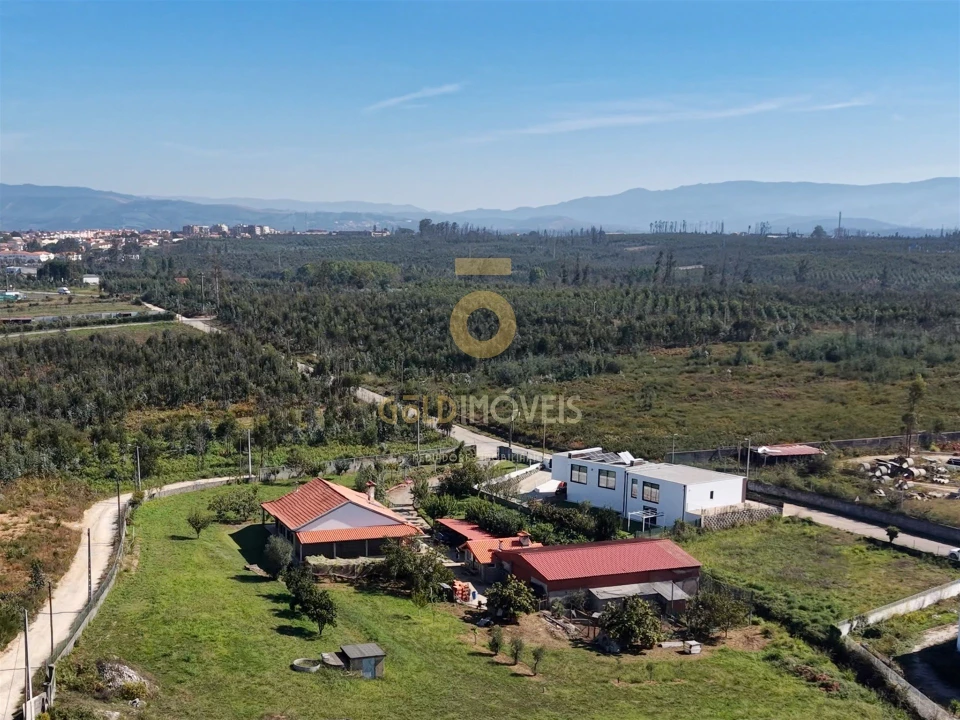 Moradia T4 para Venda em Albergaria-A-Velha e Valmaior Foto 45