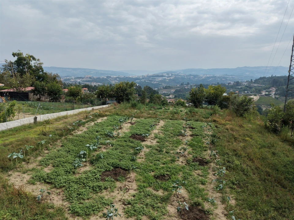 Terreno para Venda em Constance Foto 7