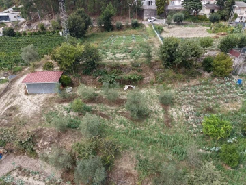 Terreno para Venda em Constance