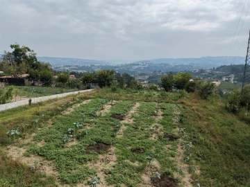 Terreno para Venda em Constance