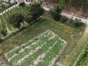 Terreno para Venda em Constance