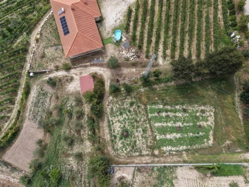 Terreno para Venda em Constance