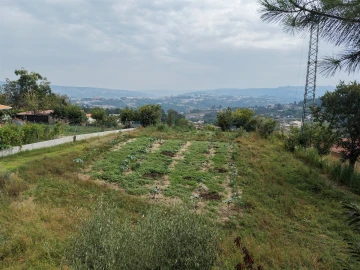 Terreno para Venda em Constance