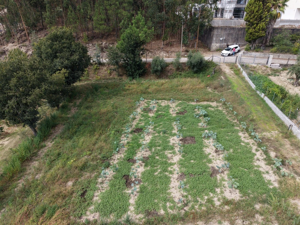 Terreno para Venda em Constance Foto 16