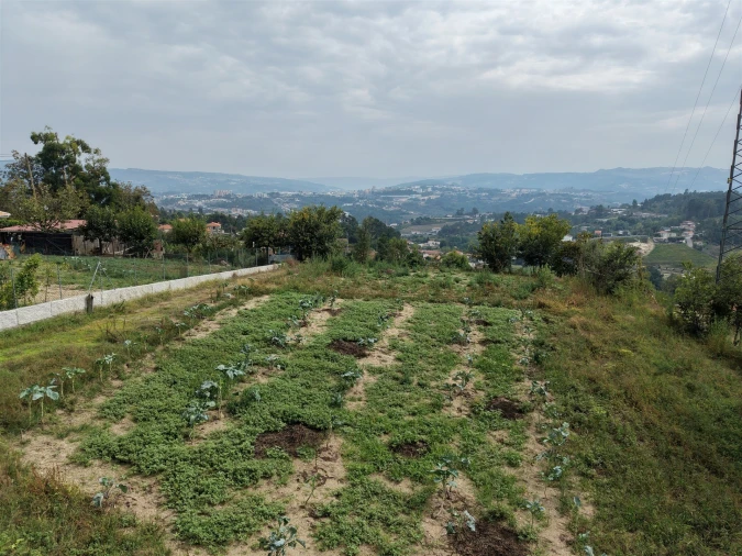 Terreno para Venda em Constance Foto 7