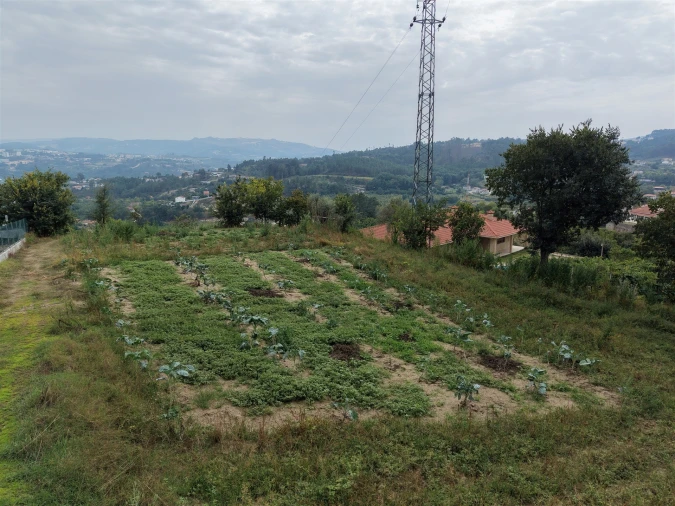 Terreno para Venda em Constance Foto 26