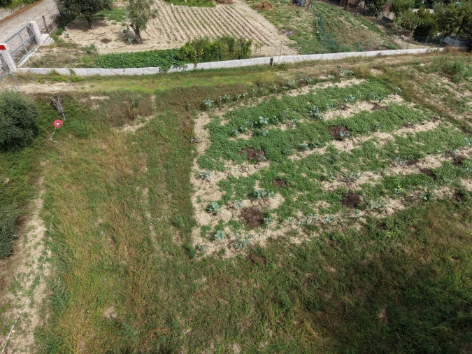 Terreno para Venda em Constance Foto 10
