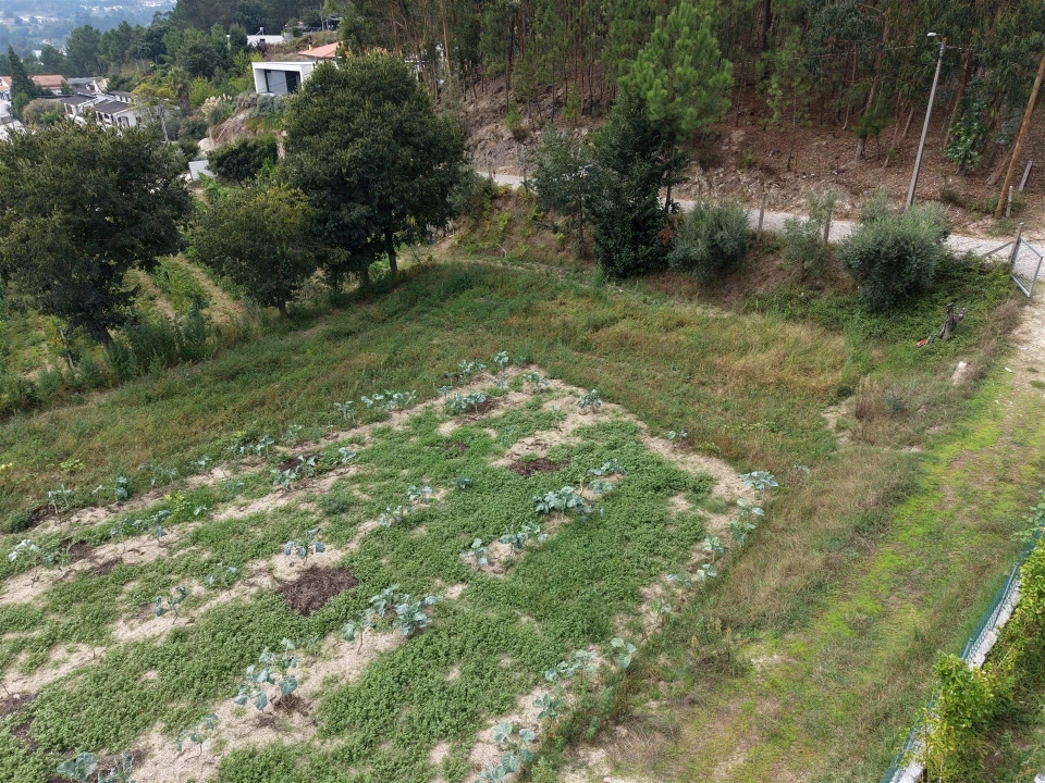 Terreno para Venda em Constance Foto 23