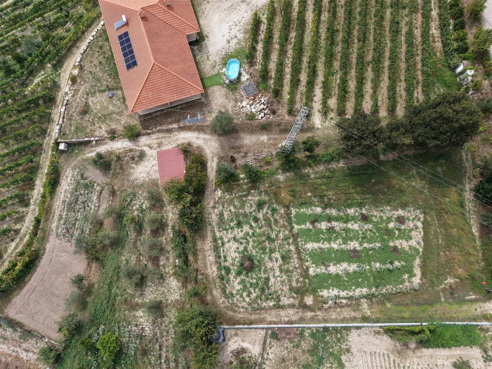 Terreno para Venda em Constance Foto 12