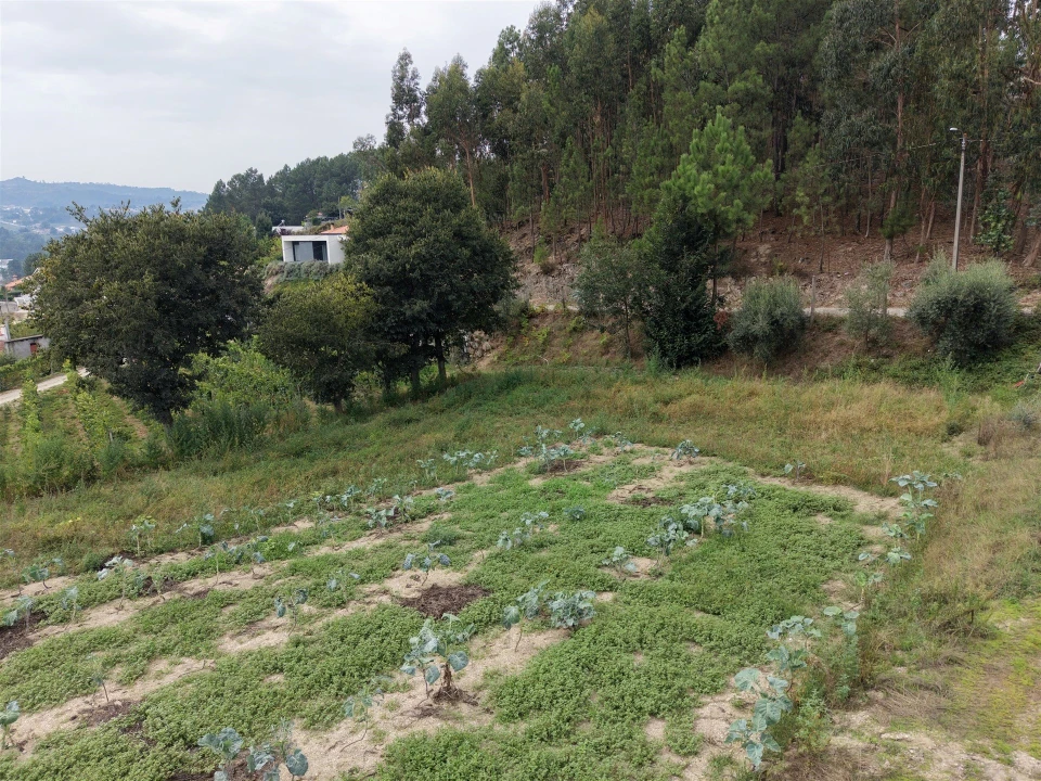 Terreno para Venda em Constance Foto 25