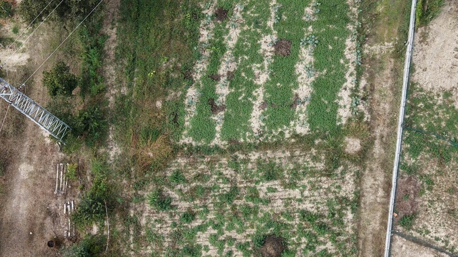 Terreno para Venda em Constance