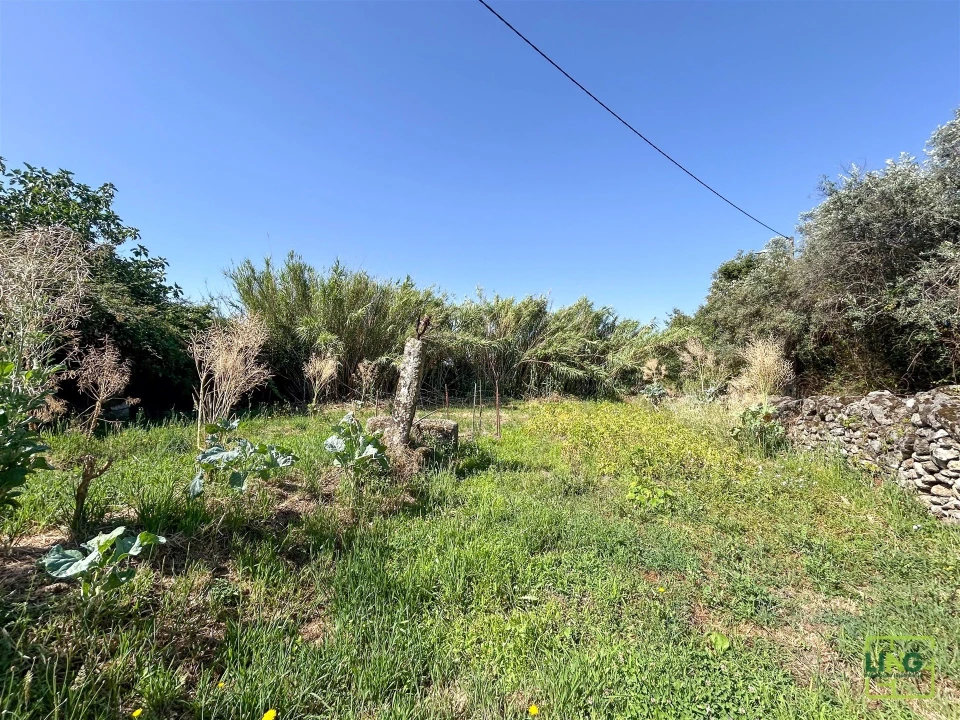Terreno Agricola ou Rústico para Venda em Aranhas Foto 39