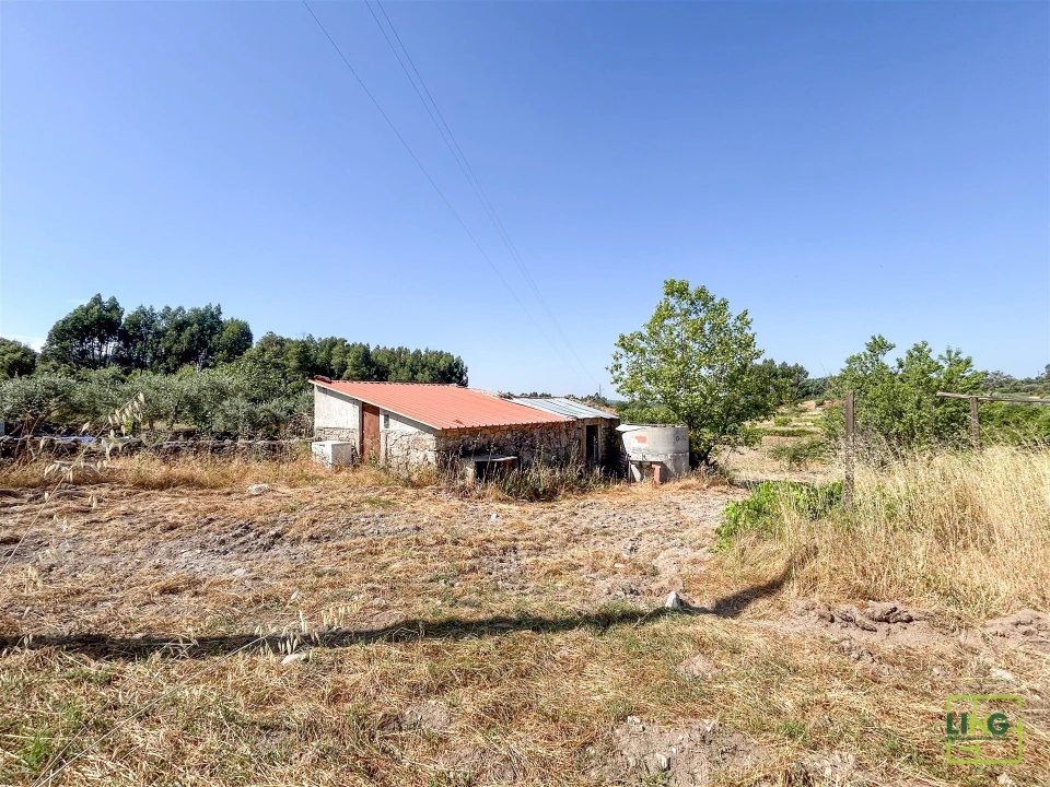 Terreno Agricola ou Rústico para Venda em Aranhas Foto 1