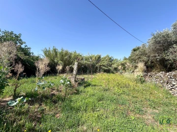 Terreno Agricola ou Rústico para Venda em Aranhas