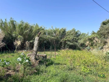 Terreno Agricola ou Rústico para Venda em Aranhas