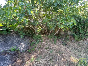 Terreno Agricola ou Rústico para Venda em Aranhas