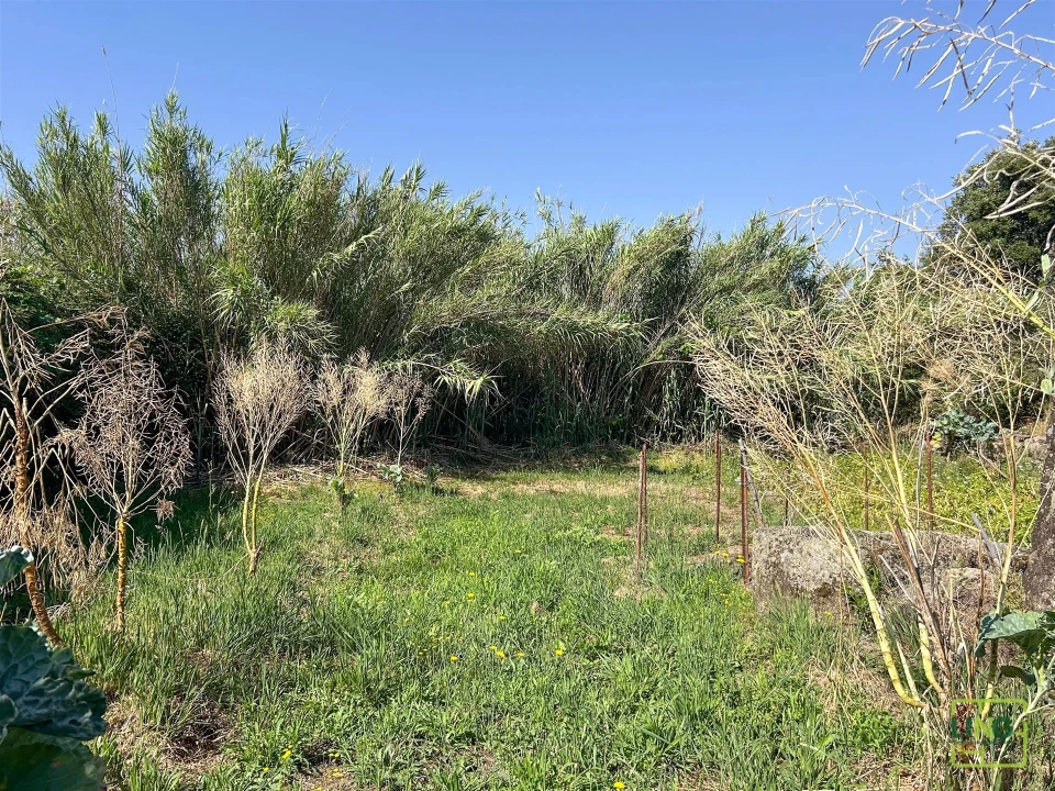 Terreno Agricola ou Rústico para Venda em Aranhas Foto 41