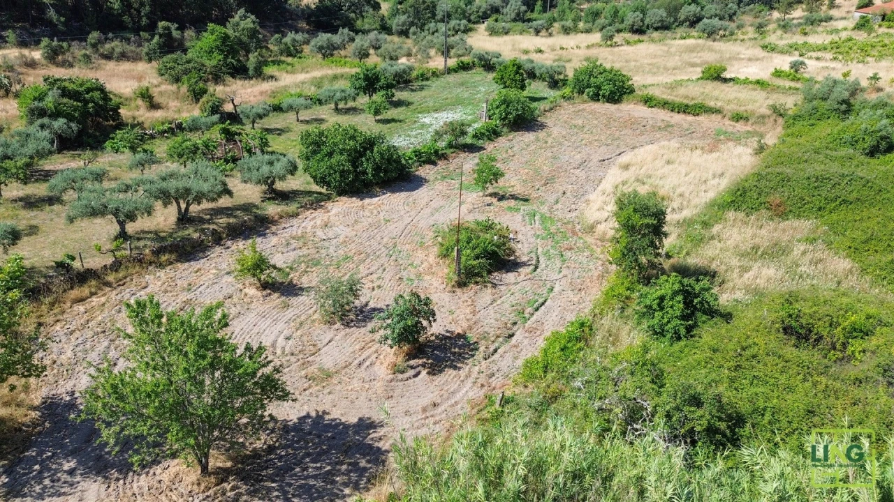 Terreno Agricola ou Rústico para Venda em Aranhas Foto 22