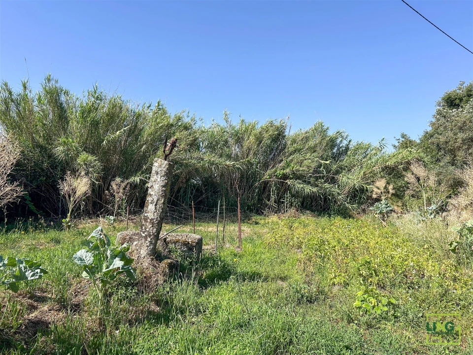 Terreno Agricola ou Rústico para Venda em Aranhas Foto 40