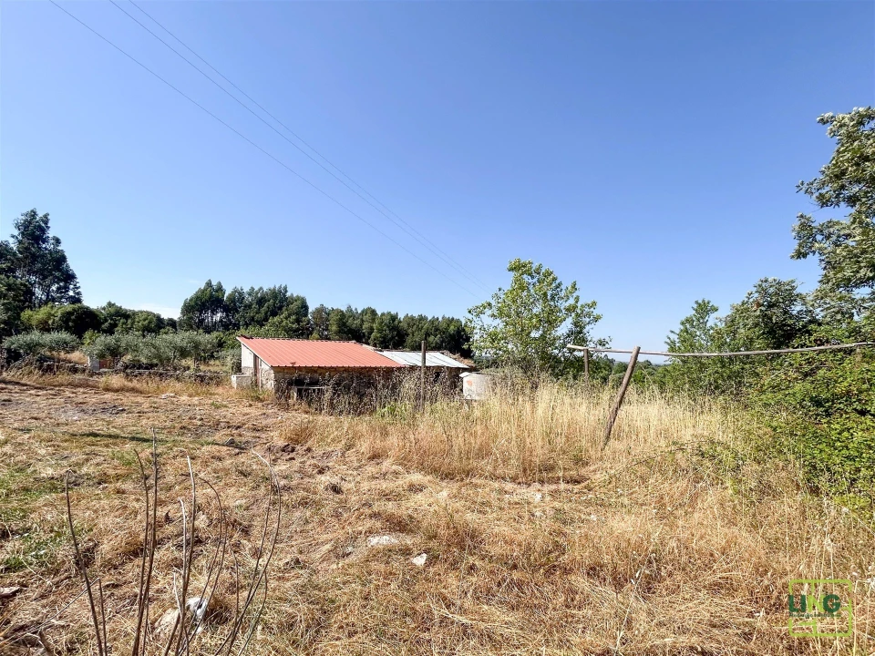 Terreno Agricola ou Rústico para Venda em Aranhas Foto 47