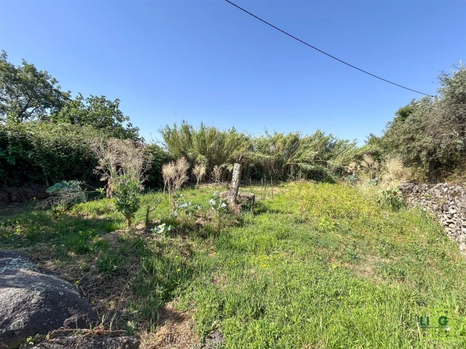 Terreno Agricola ou Rústico para Venda em Aranhas Foto 44